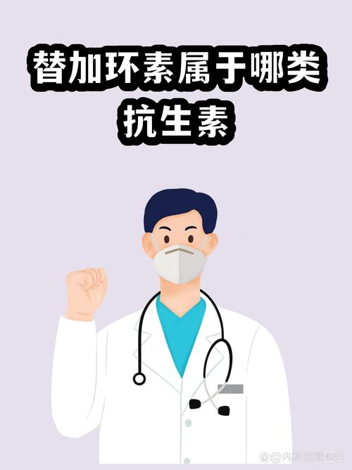 替加环素属于哪类抗生素 全面解析其分类与特性